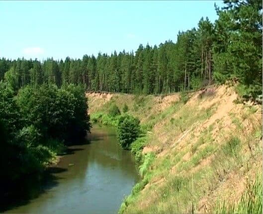 «Бузулукский бор»