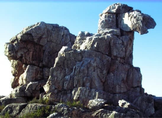 Скала Верблюд