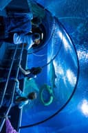 tourism-region-thumb